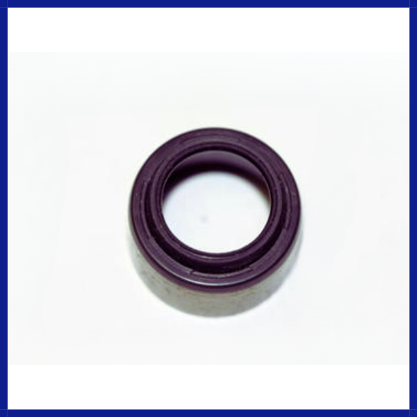 Valve Stem Seal Mack E6