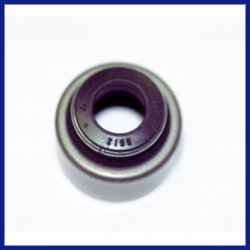 Valve Stem Seal Mack E6