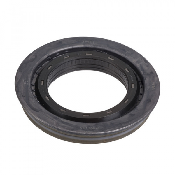 National Oil  Seal 100263