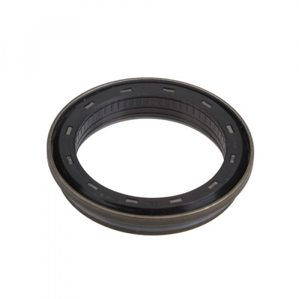 National Oil  Seal 100495