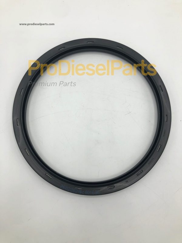 Crankshaft Oil Seal Cummins Engine ISL-Cummins Engine QSL