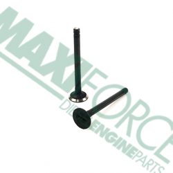 EXHAUST VALVE, ENGINE V1702