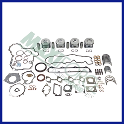 Engine Overhaul Kit