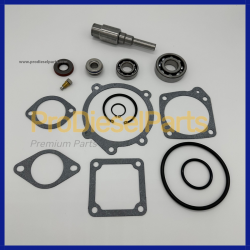 Kit Repair Water Pump Cummins Engine KTA19 Engine QSK19